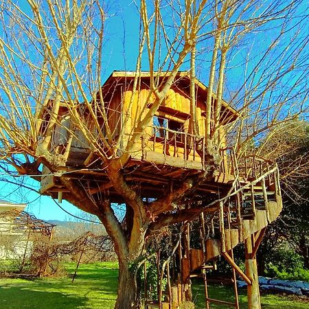Apartmán Το Πέτρινο Σπιτάκι Tríkala Exteriér fotografie